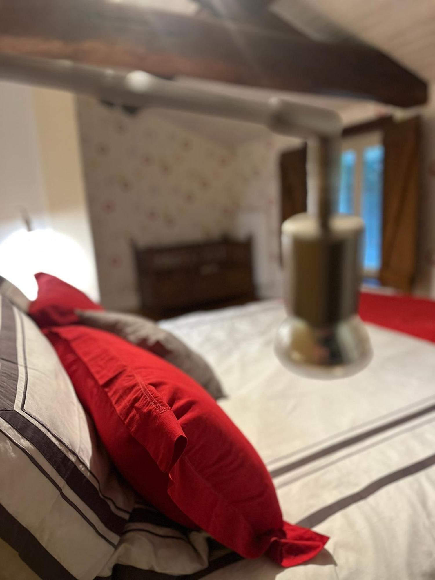 Chambres D'Hotes Les Vernayes Amplepuis Zewnętrze zdjęcie